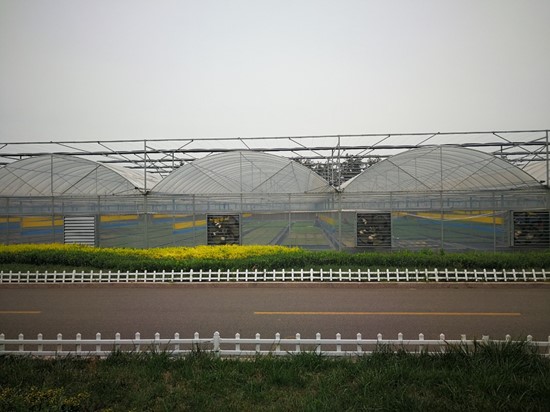 Cannot view this image? Visit: https://grassnews.net/wp-content/uploads/2021/09/agtechs-city-farm-industries-joint-venture-announces-its-first-multi-span-greenhouses-arrive-from-china.jpg