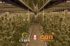 cantourage-uk,-leading-medical-cannabis-company-forms-partnership-with-premier-craft-cannabis-cultivator-plantations-ceres,-pioneering-access-to-premium-medical-cannabis-flowers-for-uk-patients